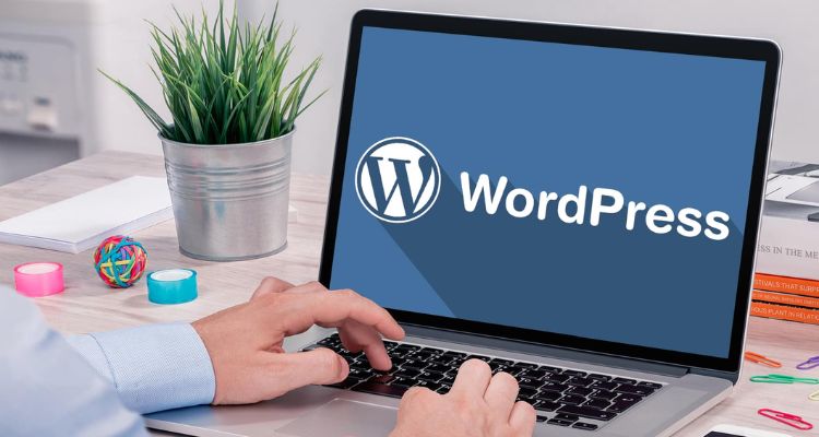 Why WordPress is the Best Choice for Every Website